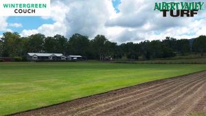 Wintergreen Paddocks ready to harvest