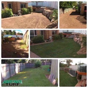 Full preparation, Supply and lay using Sapphire Soft Leaf Buffalo