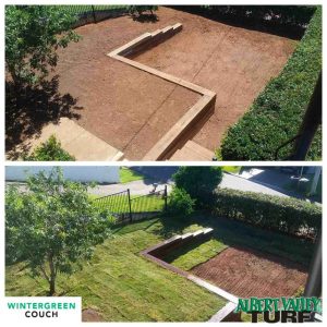 Wintergreen Couch before and after in Mansfield Brisbane