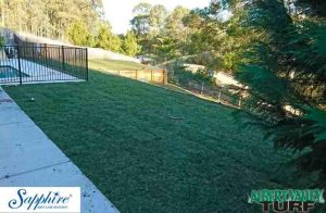 Sapphire Soft Leaf Buffalo installed on the Gold Coast