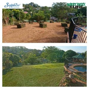 Sapphire Soft Leaf Buffalo before and after installation