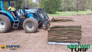 Joe bringing freshly cut Empire Zoysia to the loading bay