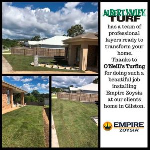 Fantastic example of the professionals we have to lay your new lawn