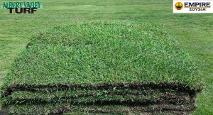 Stacks of Albert Valley Turf