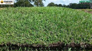 Empire Zoysia Slab ready for a delivery