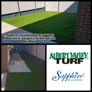 Sapphire Buffalo after being down a few weeks, Thanks to Mat for sending it to us