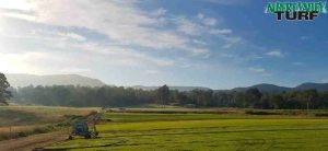 A 6am walk on a gorgeous winter morning