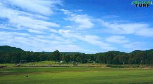 Another shot of the farm from up at the Zoysia paddocks