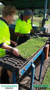 Only the best quality turf goes on the pallet