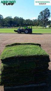 The boys working hard cutting plenty of turf for the day