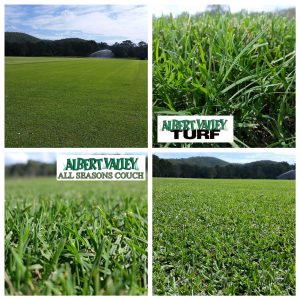 AVT-All-Seasons-Couch