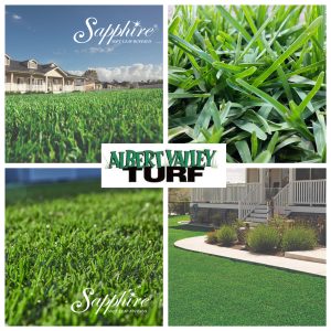 Sapphire Soft Leaf Buffalo