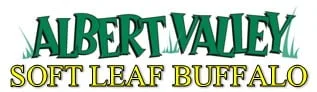 Albert Valley Soft Leaf Buffalo